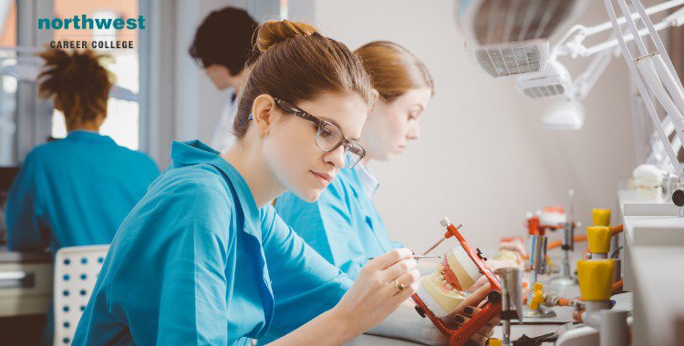 dental assistant learning prosthetic dentistry