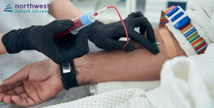 A Phlebotomy Technician draws blood from a patient’s arm, showcasing a medical procedure in a clinical setting.