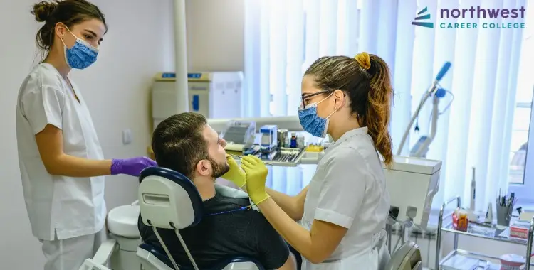 A dental assistant examines a patient while another assists, illustrating the Anatomy of a Dental Assistant in practice.