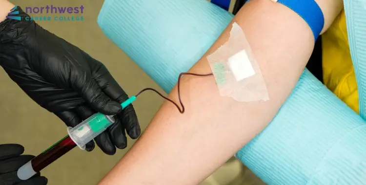 A Phlebotomy Technician draws blood from a patients arm using a syringe and needle.