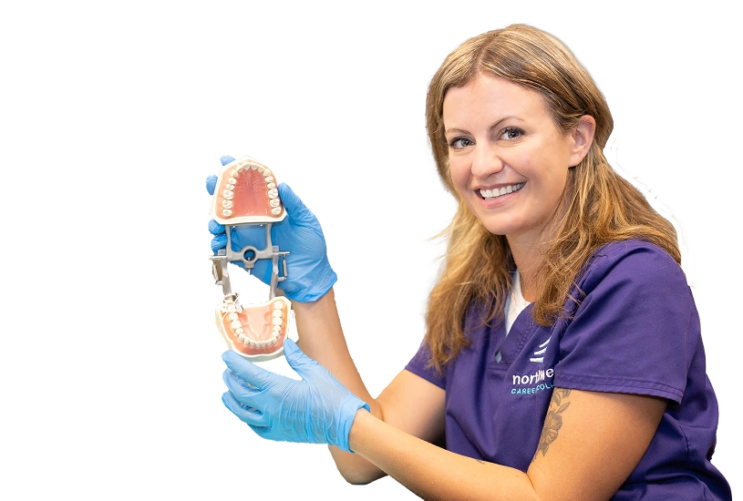 Smiling woman in gloves holds a dental model, representing the Las Vegas dental administrative assisting school.